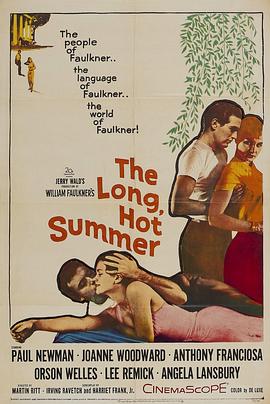 夏日春情 The Long, Hot Summer封面图