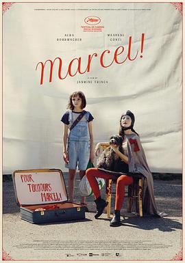 马赛尔 Marcel!封面图