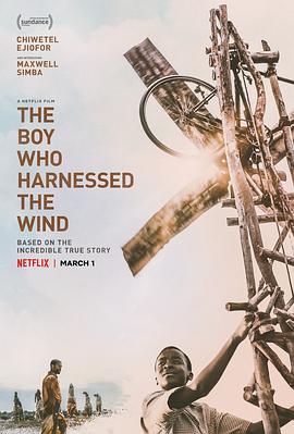 驭风男孩 The Boy Who Harnessed the Wind封面图