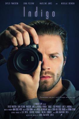 靛蓝 Indigo封面图