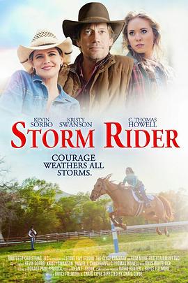 风雨骑手 Storm Rider封面图