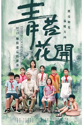 青苔花开封面图