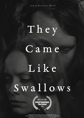 如燕而至 They Came Like Swallows封面图