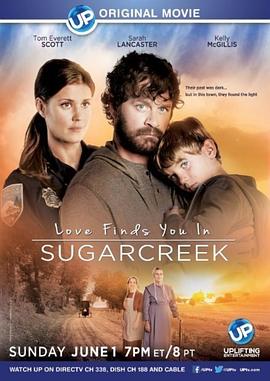 甜蜜湾之恋 Love Finds You in Sugarcreek封面图