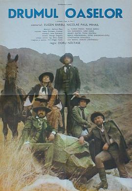 白骨之路 Drumul oaselor封面图