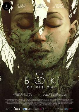 幻觉之书 The Book of Vision封面图