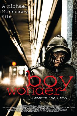 复仇少年 Boy Wonder封面图