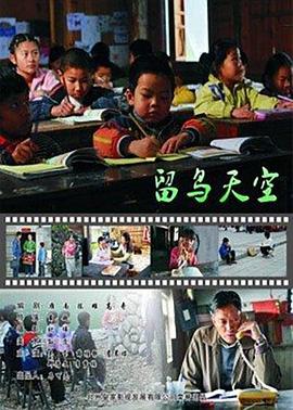 留鸟天空封面图