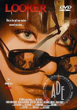 寻觅 Looker封面图