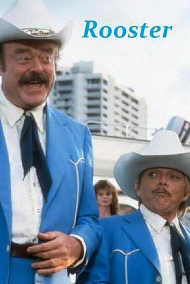 心灵干探 Rooster封面图