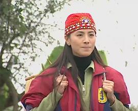 別來無恙封面图