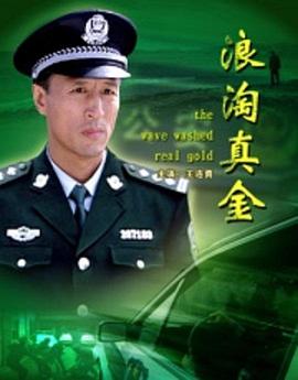 浪淘真金封面图
