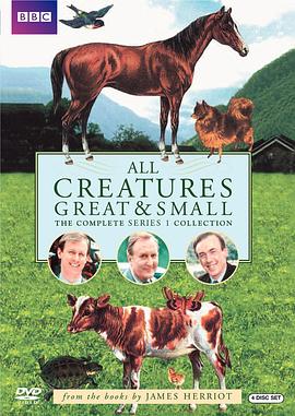 万物生灵 第一季 All Creatures Great and Small Season 1封面图