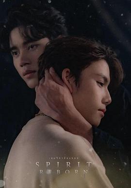 灵魂生死线封面图