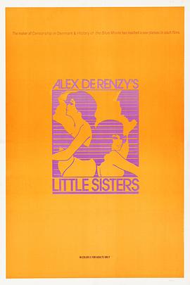 小姐秘密日记封面图