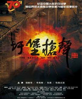 圩堡枪声封面图