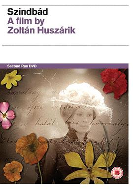 辛巴国语版封面图