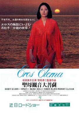 圣母观音大菩萨封面图