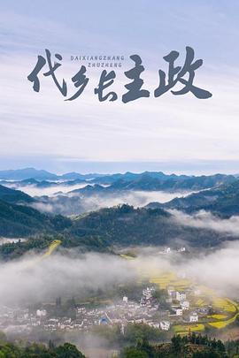 代乡长主政 1080P(高清SDR)封面图